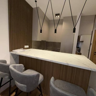 Vermietung einer gemütlichen 2-Zimmer-Wohnung, 50 m², Vračar, Belgrad, Serbien